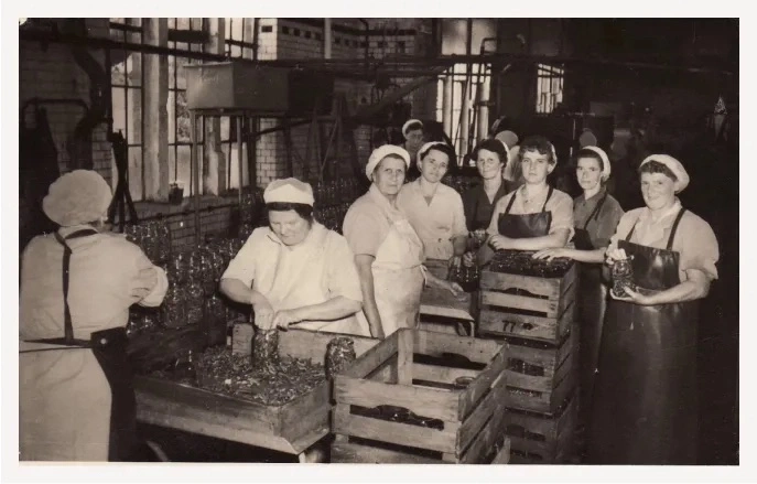Frauen in einer Konservenfabrik verpacken Gläser.