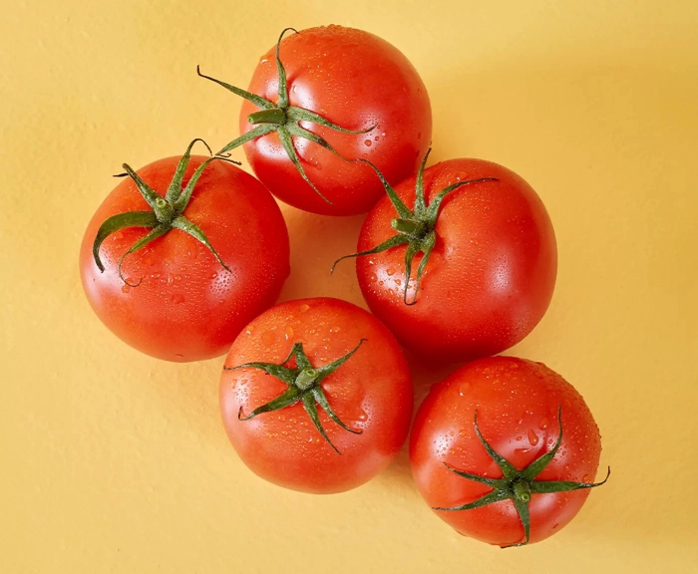 Fünf rote Tomaten mit Wassertropfen auf gelbem Hintergrund