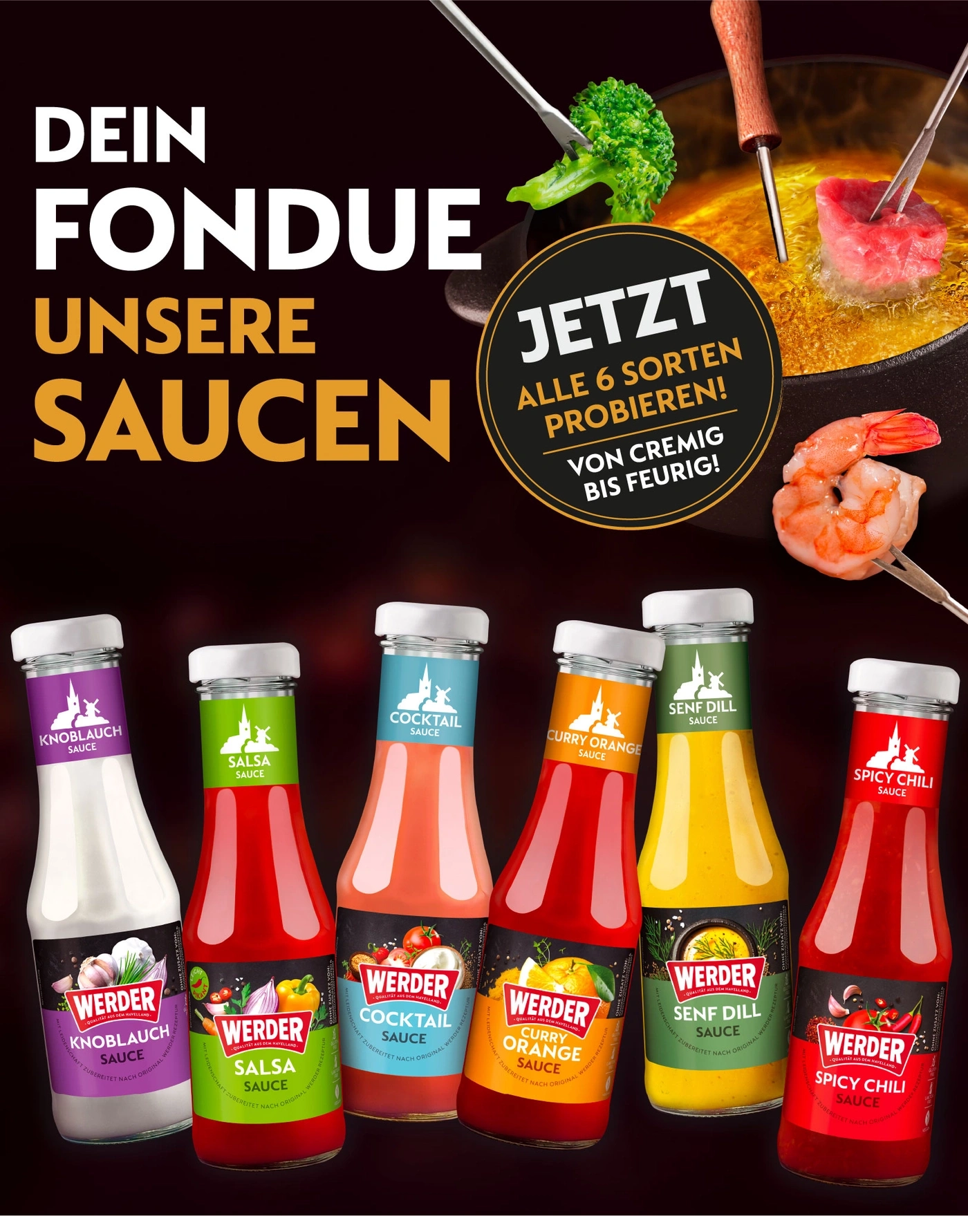 Werder Saucen: Knoblauch, Salsa, Cocktail, Curry Orange, Senf Dill, Spicy Chili für Dein Fondue.